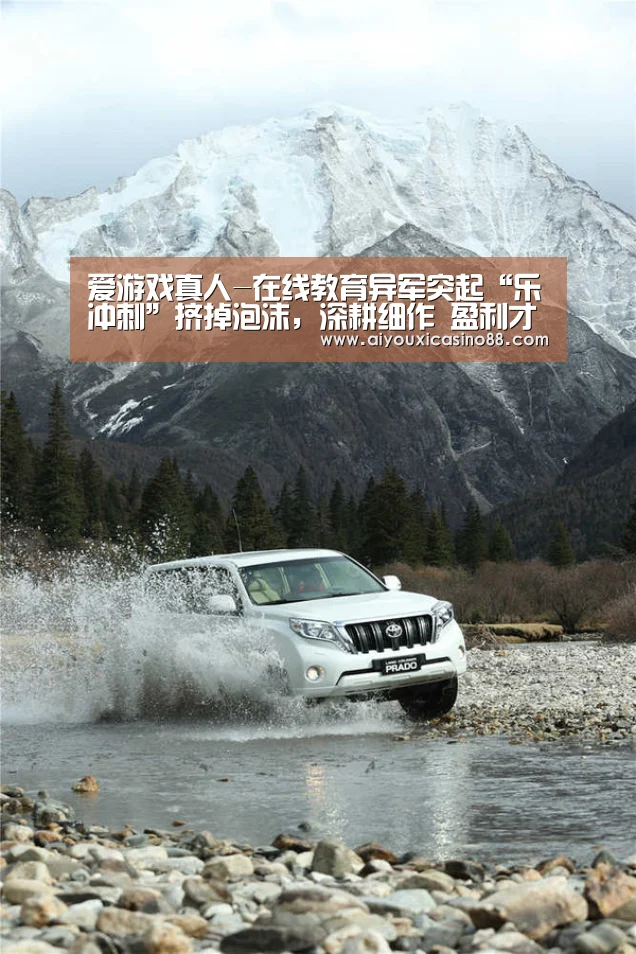 爱游戏真人-在线教育异军突起“乐冲刺”挤掉泡沫，深耕细作 盈