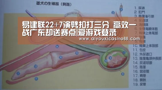易建联22+7演劈扣打三分 高效一战广东却送赛点|爱游戏登录(图2) 爱游戏赛事