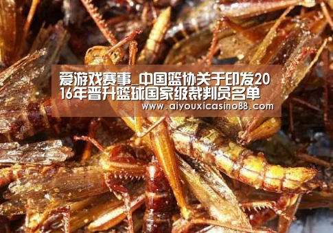 爱游戏赛事_中国篮协关于印发2016年晋升篮球国家级裁判员名单的通知(图3) 爱游戏登录