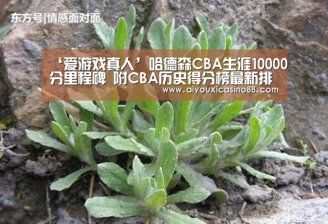 爱游戏赛事
