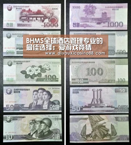 BHMS全球酒店管理专业的最佳选择:爱游戏竞猜(图3) 爱游戏赛事